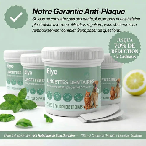 Dental wipes