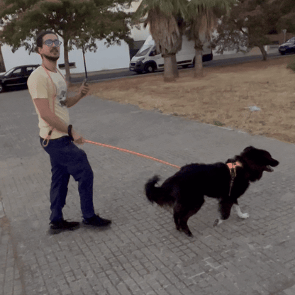 Elois CalmWalk™