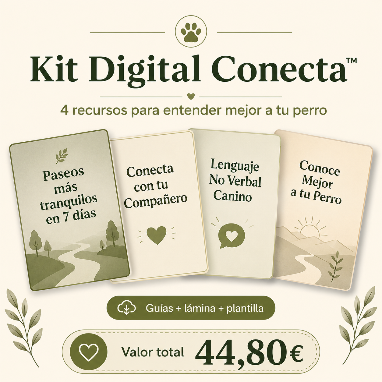 Kit Digital Conecta™