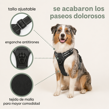 Elois CalmWalk™
