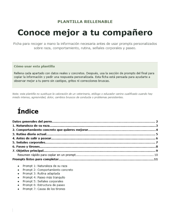 Fillable template