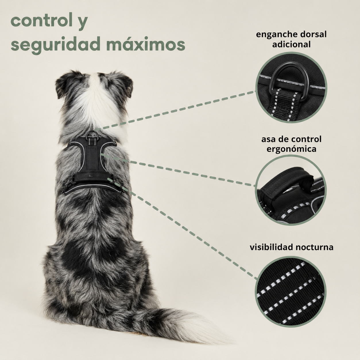 Elois CalmWalk™