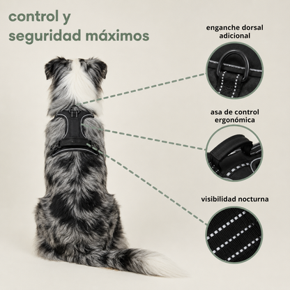 Elois CalmWalk™