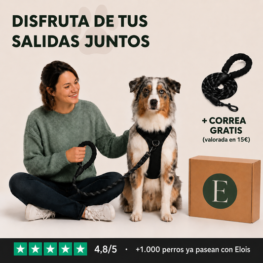 Elois CalmWalk™
