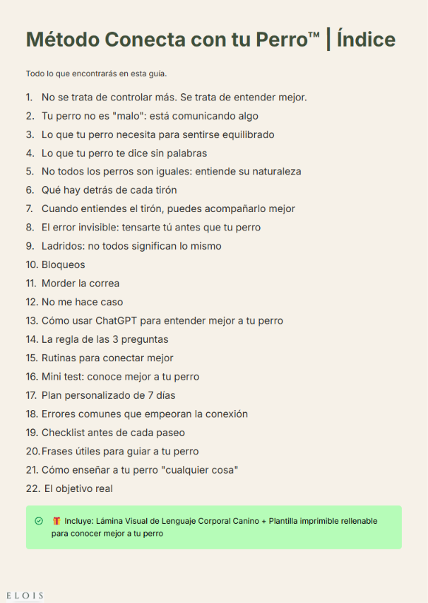 Ebook Index